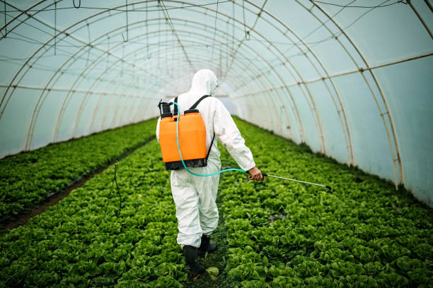Reliable Brittany Farms The Highlands, PA Pest Control Solutions