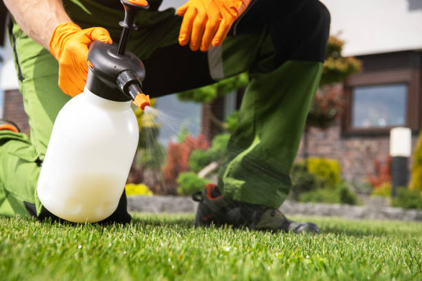 Best Affordable Pest Control Services  in Brittany Farms The Highlands, PA
