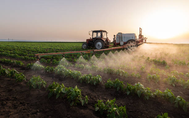 Best Cockroach Control Services  in Brittany Farms The Highlands, PA