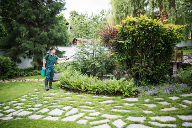 Best Local Pest Control Services  in Brittany Farms The Highlands, PA