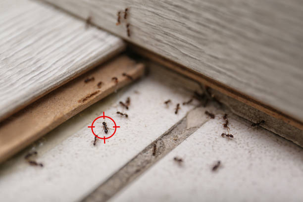  Brittany Farms The Highlands, PA Pest Control Pros
