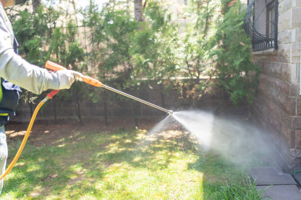 Best Best Pest Control Companies  in Brittany Farms The Highlands, PA