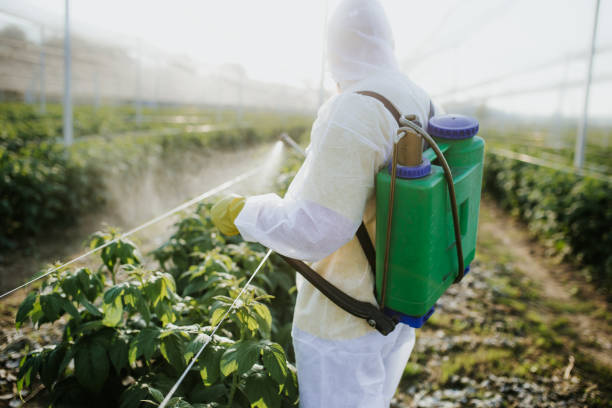 Best Bed Bug Extermination  in Brittany Farms The Highlands, PA